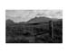cullins skye 2