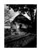 farm building mintlaw